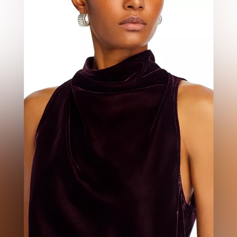 The Andamane High Neck Velvet Open Back Maxi Dress - Picture 4 of 13